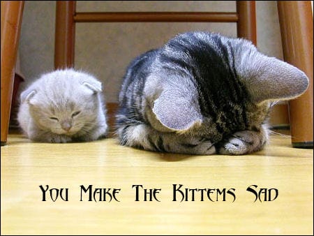 Sad-Kittens