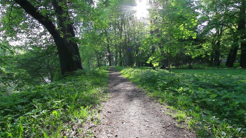 Footpath