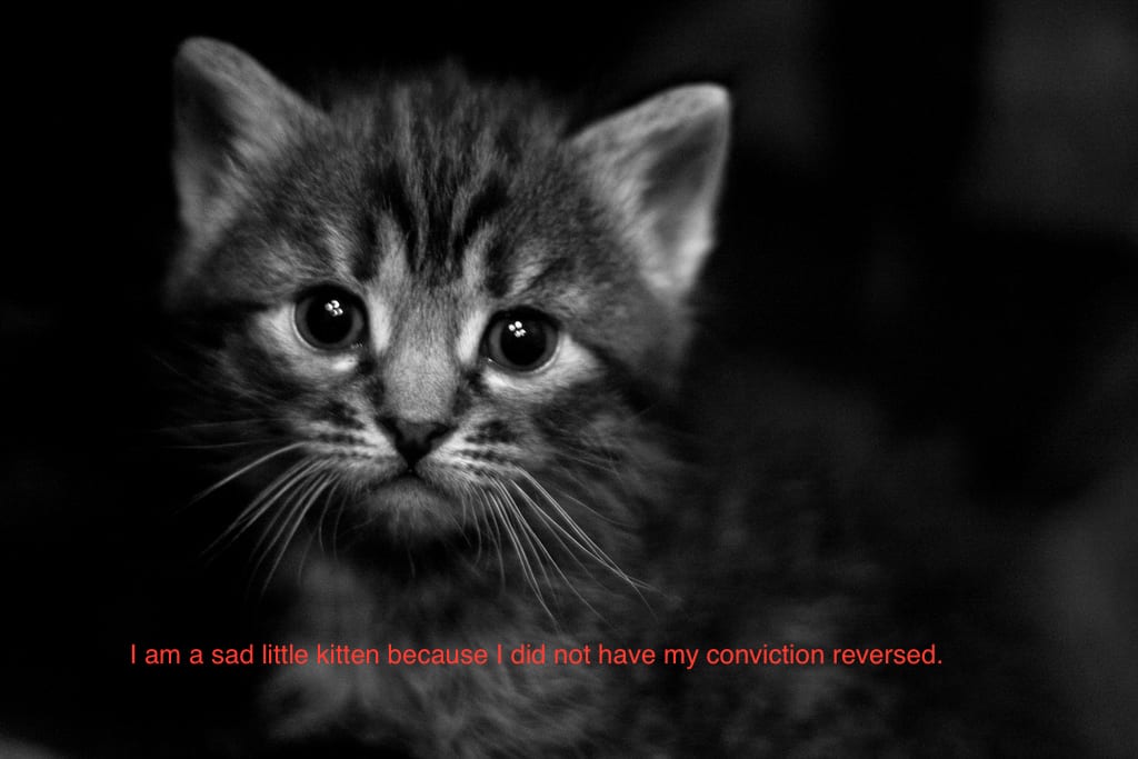 Sad kitten.jpg