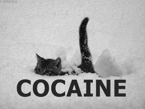 cocaine